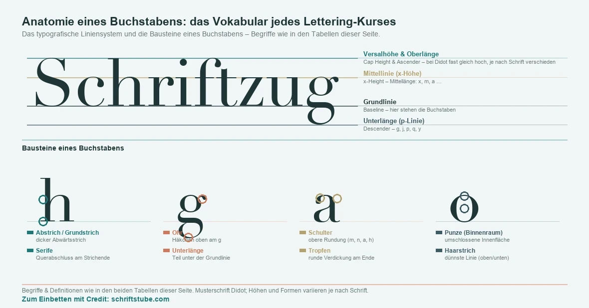 Beschriftetes Diagramm zur Buchstaben-Anatomie: oben das Wort „Schriftzug